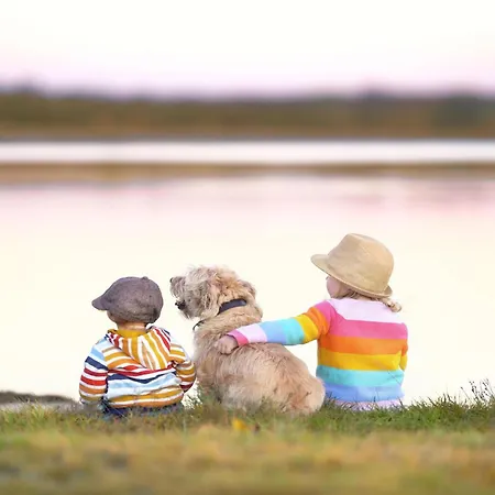 Appartamento Yoga-oase Am Krakower - Erdgeschoss Mit Terrasse, Kamin & Sauna *